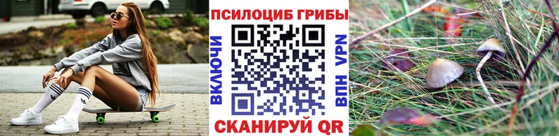 Галлюциногенные грибы Psilocybe  сайты даркнета Telegram  Лесной 